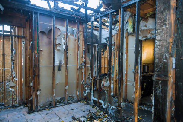 Professional Odor Removal technician working in Peru, IL